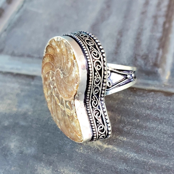 New Fossil Ammonite Silver Statement Ring. - Picture 6 of 16